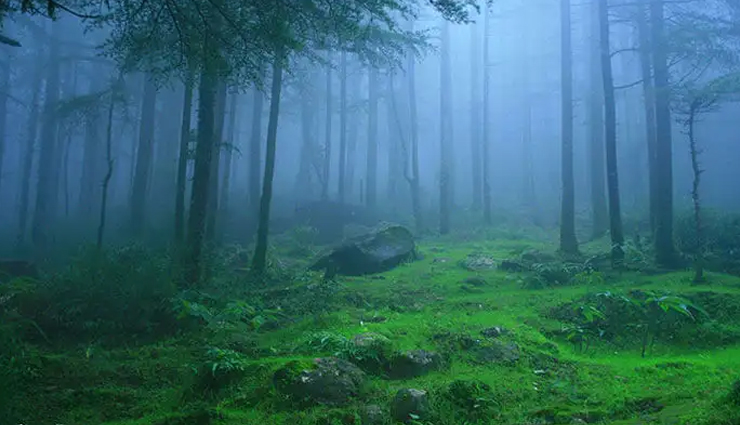 हिल स्टेशन के मामले में आंध्रप्रदेश भी नहीं हैं पीछे, परिवार संग जा सकते हैं यहां घूमने hill stations in andhra pradesh,best hill stations in andhra pradesh,top hill stations in andhra pradesh,popular hill stations in andhra pradesh,andhra pradesh hill station guide,hill stations to visit in andhra pradesh,coolest hill stations in andhra pradesh,scenic hill stations in andhra pradesh,hidden hill stations in andhra pradesh,hill station tourism in andhra pradesh