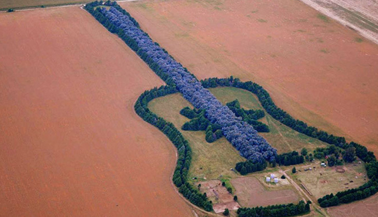 example of land art,land art to visit in the world,forest guitar,argentina,the green cathedral,netherlands,spiral jetty,usa,heart-shaped meadow,uk,sky garden crater,ireland,broken circle/spiral hill,netherlands