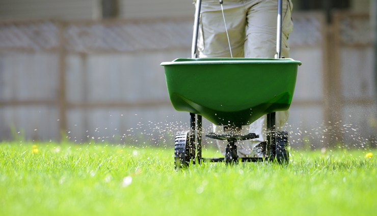 4 Common Ways To Fertilize Your Lawn 
