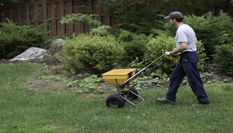 fertilize your lawn,ways to keep lawn good,house care tips,household tips
