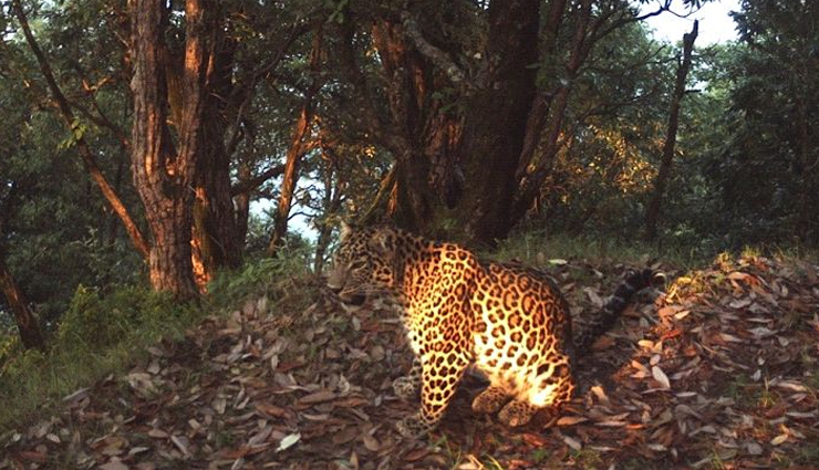 landour,reasons to visit landour,places to visit in landour