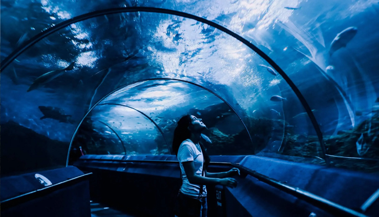 langkawi tourist attractions,best places to visit in langkawi,langkawi island sightseeing,langkawi natural wonders,langkawi adventure activities,langkawi beaches,langkawi cable car,kilim karst geoforest park,langkawi wildlife park,langkawi sky bridge,underwater world langkawi,langkawi waterfalls,langkawi island hopping,eagle square langkawi,langkawi mangrove tours,langkawi night markets,langkawi geopark,langkawi historical sites,langkawi lighthouse,langkawi nature reserves