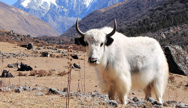 best places to visit in nepal,amazing destinations in nepal,must-visit places in nepal,top attractions in nepal,hidden gems in nepal,nepal natural wonders,cultural sites to explore in nepal,scenic places in nepal,adventurous places to visit in nepal,historic places to explore in nepal