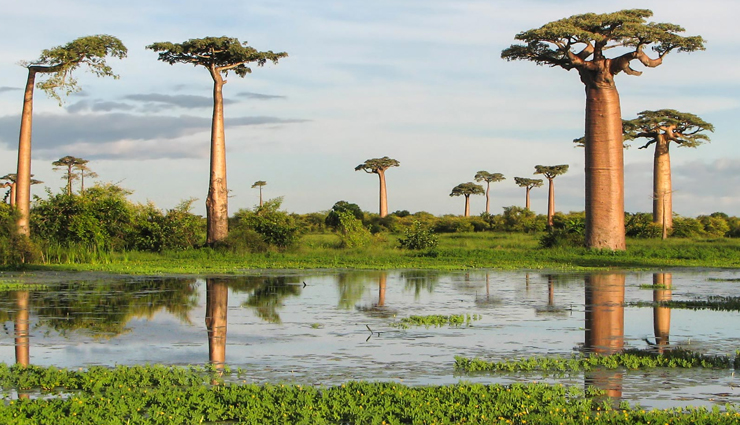 largest islands,largest islands in the world,greenland,new guinea,borneo,madagascar,baffin,sumatra