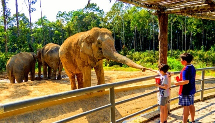 पर्यटकों के आकर्षण का केंद्र बनते हैं देश के ये 8 सबसे बड़े चिड़ियाघर
