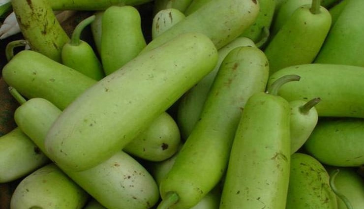 side effects of consuming excess bottle gourd,harmfulness of bottle gourd,healthy living,Health tips