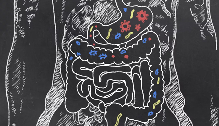 health benefits of lauki,lauki,Health tips,fitness tips