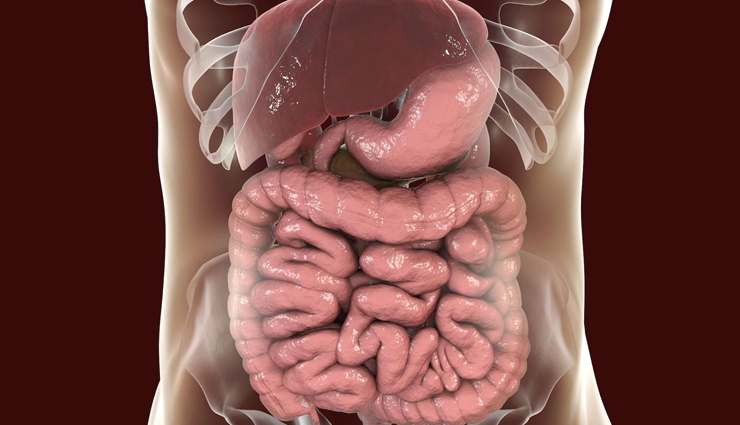 health benefits of lauki juice,lauki juice,Health tips,fitness tips