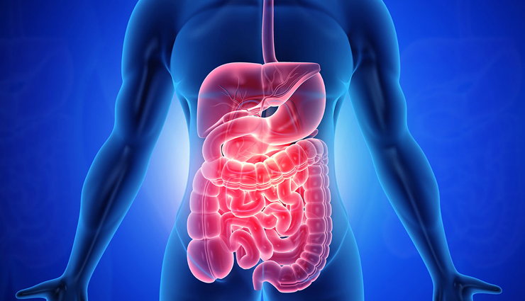 lauki juice health benefits,benefits of drinking lauki juice,lauki juice advantages for health,health benefits of bottle gourd juice,lauki juice for weight loss,lauki juice for digestion,lauki juice nutritional benefits,bottle gourd juice benefits,lauki juice for diabetes,lauki juice for cholesterol