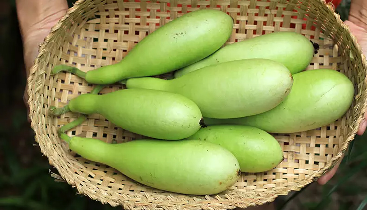 health benefits of bottle gourd,healthy living,Health tips