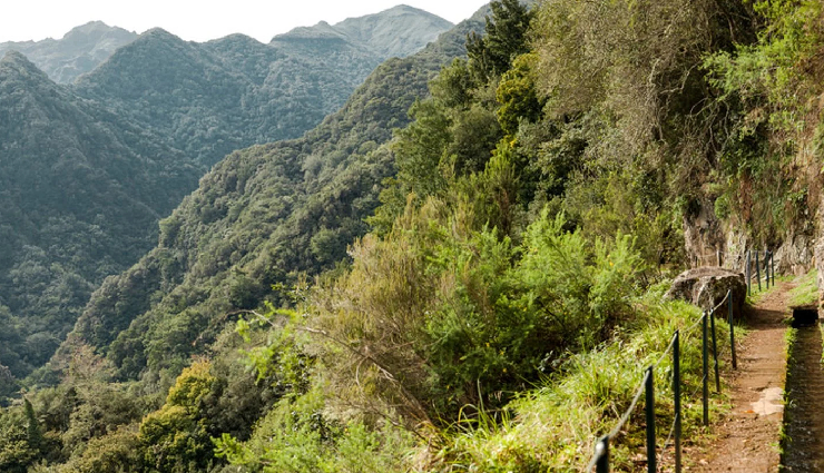 madeira island tourist attractions,funchal madeira attractions,pico do arieiro madeira,cabo girao madeira,monte palace tropical garden,valley of the nuns madeira,porto moniz natural pools,laurisilva of madeira forest,machico madeira sights,ponta do sol madeira landmarks