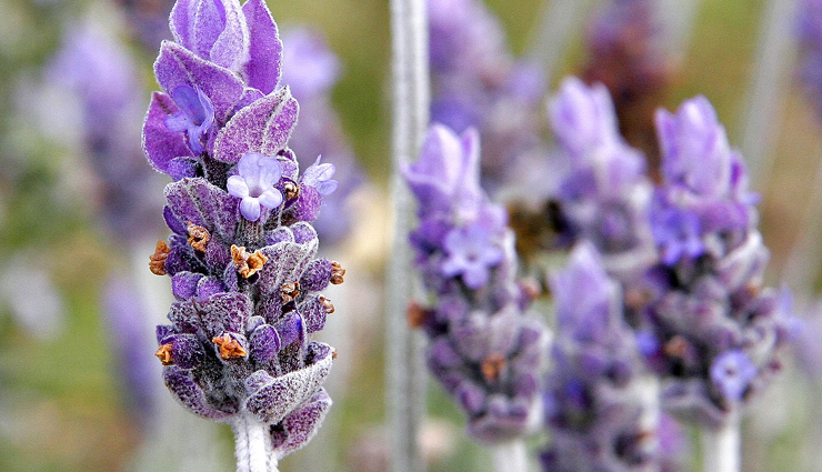 restoring skin glow methods,effective ways for radiant skin,bringing back skin natural radiance,tips to rejuvenate skin glow,restoring skin luminosity effectively,glow-boosting techniques for skin,reclaiming healthy skin radiance,methods to enhance skin complexion,effective skin revitalization methods