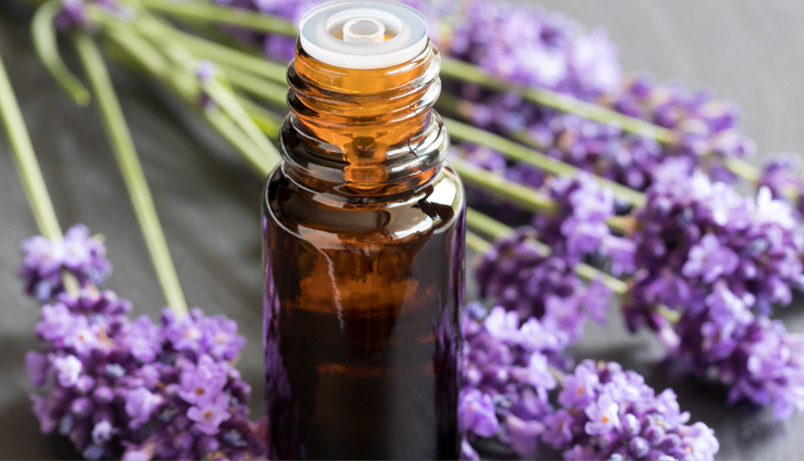 head lice,home remedies to get rid of head lice,lice problem,scalp care tips,scalp care,beauty,beauty tips