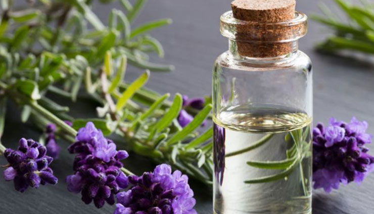 lavender oil,lavender oil for hair growth,hair care tips,hair growth tips,beauty tips,skin care tips,benefits of lavender oil