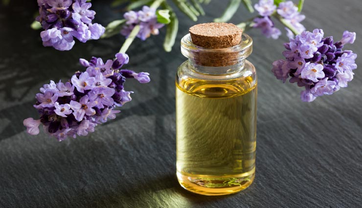 Health tips,health tips in hindi,home remedies,spider bites remedies