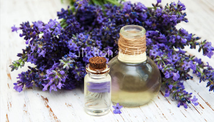 5 Ways To Use Lavender Oil For Quick Hair Growth