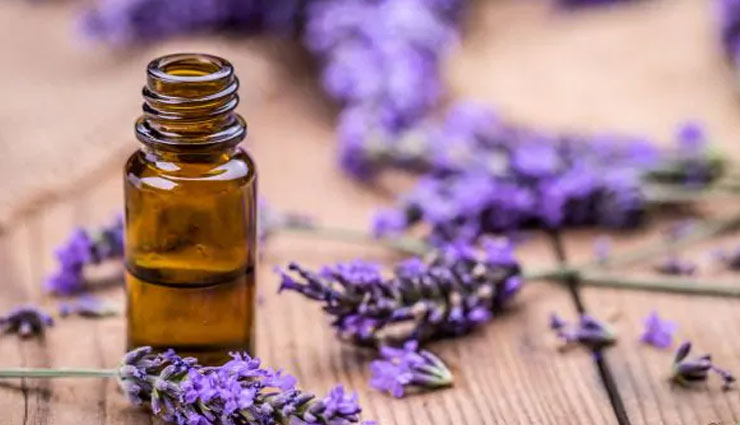 lavender oil,lavender oil for hair growth,hair care tips,hair growth tips,beauty tips,skin care tips,benefits of lavender oil