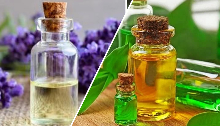 natural facial hair removal,best remedies for facial hair removal,painless facial hair removal,diy facial hair removal,facial hair removal at home,natural methods to remove facial hair,gentle facial hair removal,effective home remedies for facial hair,facial hair removal without pain,safe ways to remove facial hair naturally