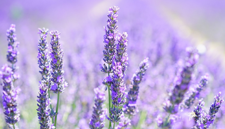 hair growth,hair growth tips,hair care tips,hare care,hair,hair problem,hair growth tips,beauty hacks,beauty tips