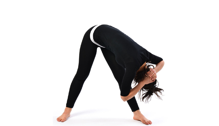 single nostril breath,pendulum pose,diamond pose,lotus pose,roaring lion pose,corpse pose,yoga pose,yoga for lazy people,Health tips,fitness tips