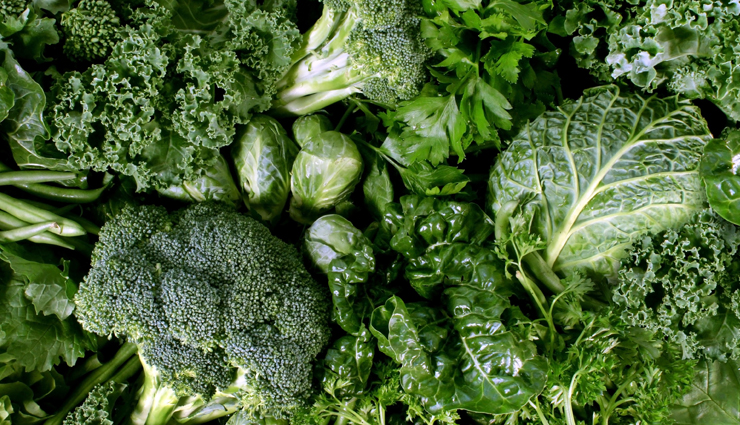 chikungunya,chikungunya symptoms,chikungunya is caused by,chikungunya treatment,chikungunya mosquito,chikungunya virus name,chikungunya virus,chikungunya and dengue,chikungunya arthritis,chikungunya antibody,chikungunya antibody test,chikungunya antibiotics,chikungunya blood test,chikungunya bacteria,chikungunya bacteria or virus,chikungunya body pain,chikungunya blood picture,chikungunya blood test report,chikungunya caused by,chikungunya disease,chikungunya diagnosis,chikungunya death rate,chikungunya disease caused by,chikungunya effects,chikungunya epidemic,chikungunya fever,chikungunya fever symptoms,chikungunya family,chikungunya fever range,chikungunya fever caused by,Health,Health tips