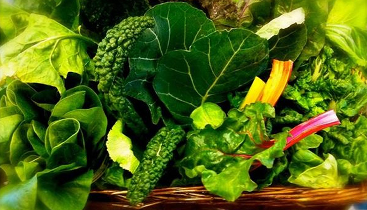 plant-based calcium sources,vegan calcium-rich foods,calcium-rich plant-based diet,vegan sources of calcium,plant-based foods for calcium intake,calcium-rich foods for vegans,vegan calcium sources,plant-based diet and calcium,calcium-rich vegan foods,vegan calcium sources from plants,vegan-friendly calcium-rich foods,plant-based foods high in calcium,calcium-rich plant foods for vegans,vegan diet and calcium absorption,calcium sources for plant-based eaters,vegan calcium alternatives,calcium-rich plant-based recipes,calcium-rich foods for vegan diet,plant-based calcium supplements,vegan calcium recommendations