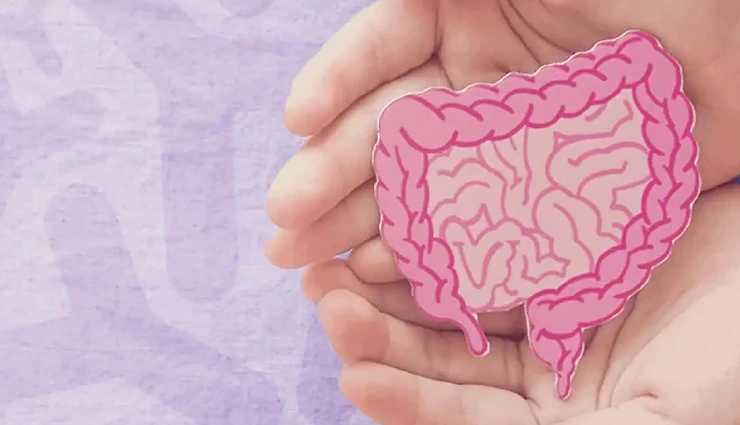 7 Signs You Have Leaky Gut Syndrome