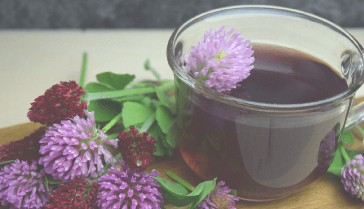 लाल तिपतिया घास के 8 चमत्कारी स्वास्थ्य लाभ जो आप नहीं जानते होंगे! red clover health benefits,eating red clover,red clover nutrition,red clover herbal benefits,natural remedies,red clover for health,herbal medicine,red clover advantages,health and wellness,red clover uses