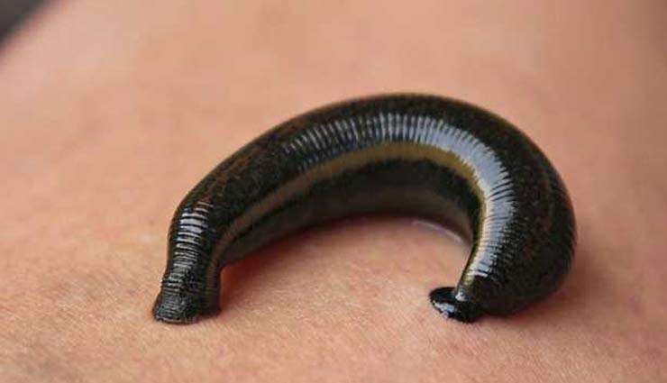 some interesting facts,interesting facts,facts,weird facts,surprising facts