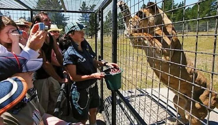 weird news,weird zoo,china zoo,lehe ledu wildlife zoo,dangerous zoo in the world