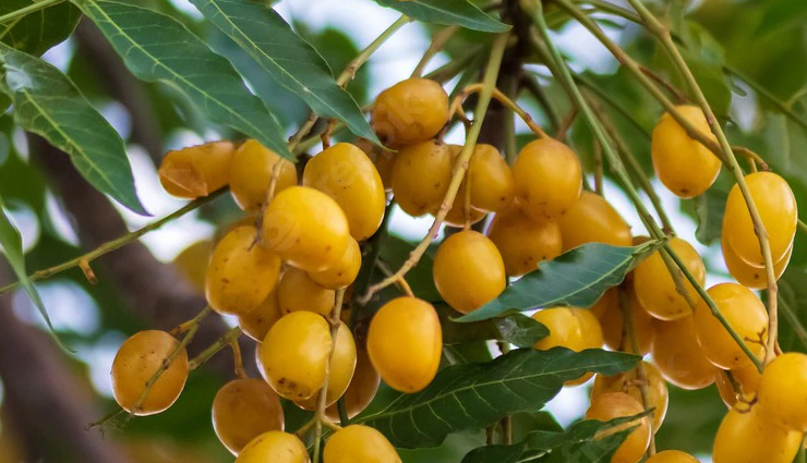 foods for long hair,foods for beautiful hair,beauty tips for hair,beauty hacks for hair,foods for healthy hair growth,hair care tips,hair beauty secrets,natural hair care tips,beauty foods for hair,long hair secrets,tips for beautiful hair,healthy hair diet,hair growth foods,diy hair care tips,hair care hacks