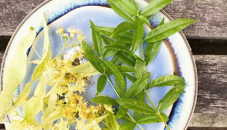 insomnia remedies,insomnia and work performance,causes of insomnia,herbal teas for sleep,natural sleep aids,stress and insomnia,anxiety and sleep problems,best herbal teas for insomnia,natural remedies for insomnia,sleep disorders,how to sleep better naturally