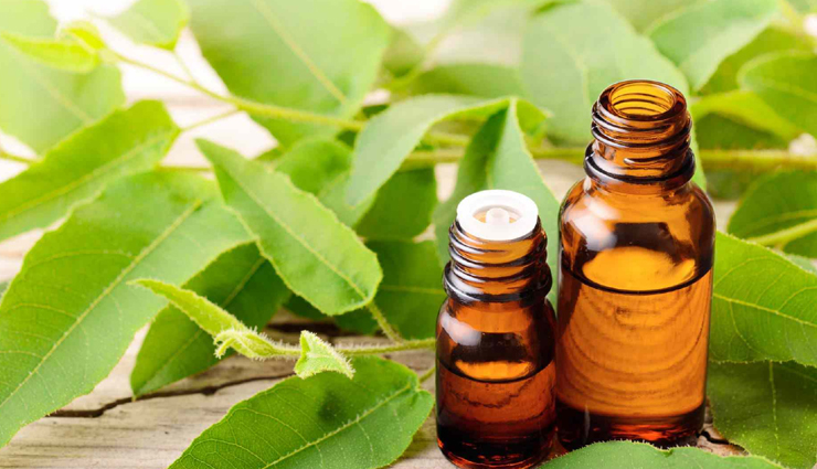 home remedies for mosquitoes,get rid of mosquitoes naturally,diy mosquito control,natural mosquito repellents for the home,mosquito infestation remedies,mosquito-free house tips,homemade mosquito solutions,effective mosquito remedies for the home,natural ways to eliminate mosquitoes at home,diy mosquito repellent techniques,mosquito control for a comfortable home,natural mosquito treatments for the house