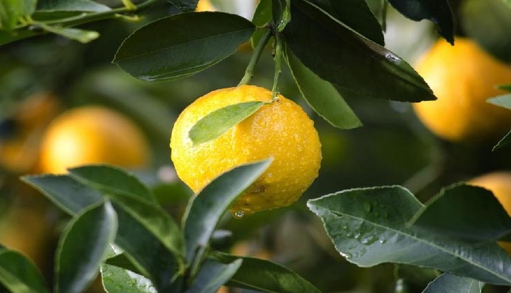 beauty tips,beauty tips in hindi,home remedies,blackheads remedies,skin care tips,beautiful face