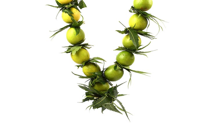 पूरे 27000 रुपए में नीलाम किया गया यह एक नींबू, कारण हैरान करने वाला Lemon,lemon of god worship,tamilnadu,god worship,auction of lemon