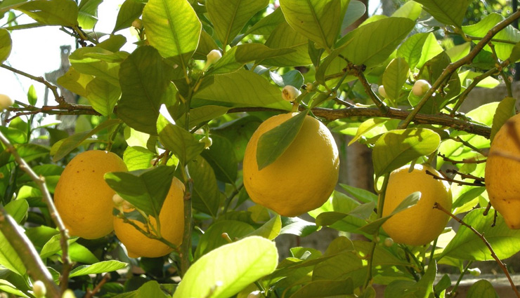 right direction to keep things,vastu to keep things,vastu direction to place things,vastu tips for home,vastu tips for prosperity