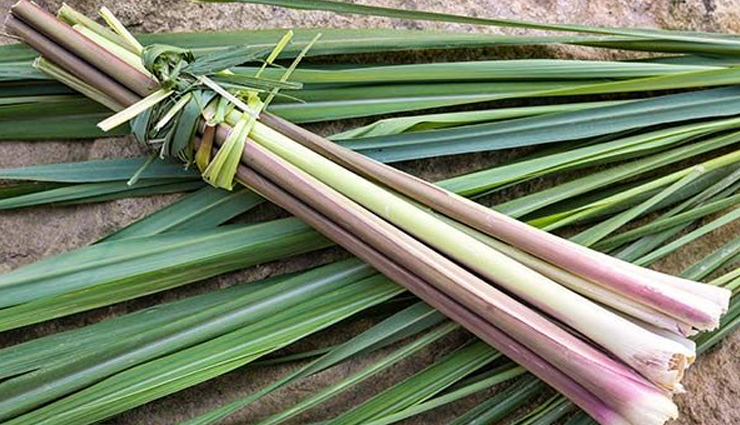 health benefits of lemongrass,lemongrass,Health tips,fitness tips