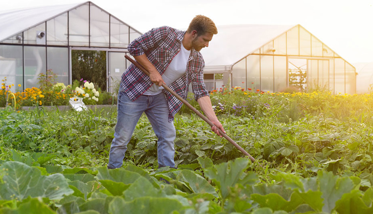 lemons,side effects of consuming lemons,Health tips,fitness tips