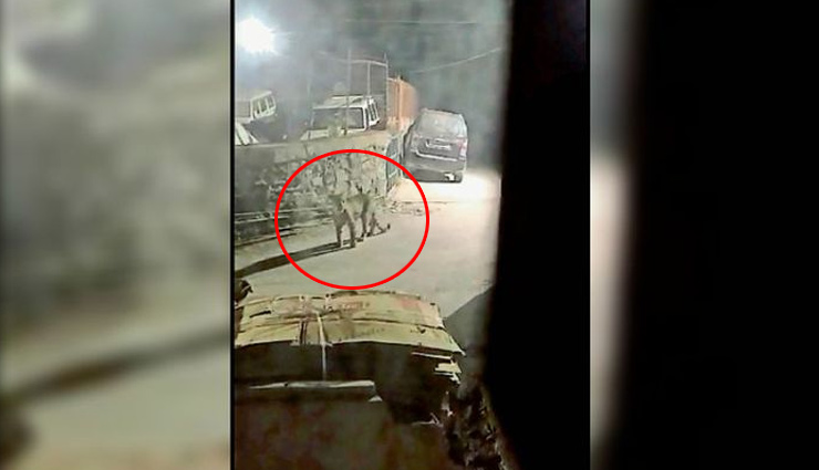 संजौली / ढींगूधार में तेंदुए का आतंक, कुत्ते को बनाया शिकार