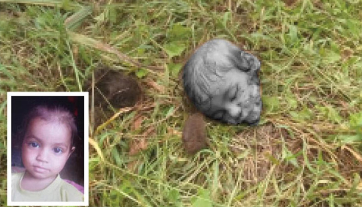 UP News: पिता की गोद से बेटी को छीन ले गया तेंदुआ, घर से 300 मीटर दूर मिला सिर्फ सिर