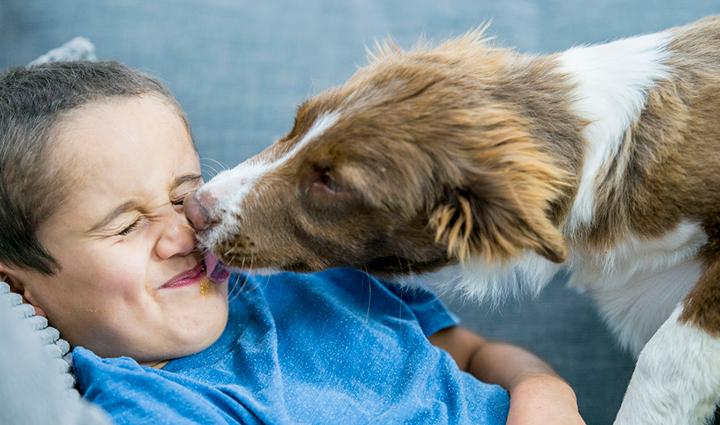 5 Lessons Humans Must Learn From Dogs