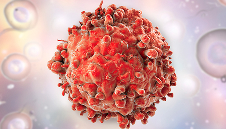 nutmeg,nutmeg health benefits,health benefits of nutmeg,healthy food nutmeg,Health,Health tips