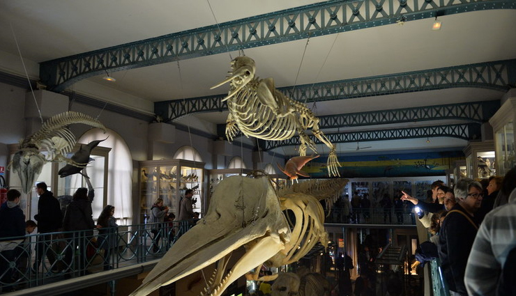 lille,france,places to visit in lille