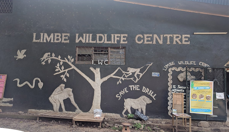 cameroon,national parks visit in cameroon,cameroon tourist places,waza national park,lobeke national park,korup national park,benoue national park,dja faunal reserve,nki national park,faro national park,bouba njida national park,campo maan national park,holidays,travel