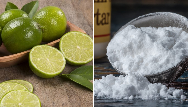 bladder infections,bladder infections treatment,home remedies to treat bladder infections,bladder care tips,infection,Health,Health tips