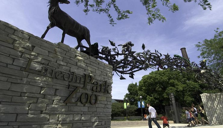 5 must visit zoo if you are in usa,top 5 zoo in usa,best zoo in usa,memphis zoo,saint louis zoo,lincoln park zoo,cincinnati zoo,zoo miami,places to be visited in usa