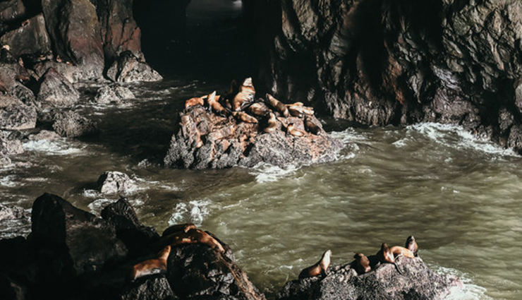 sea caves,sea caves around the world,amazing sea caves around the world,sea life,holidays,travel guide,travel tips