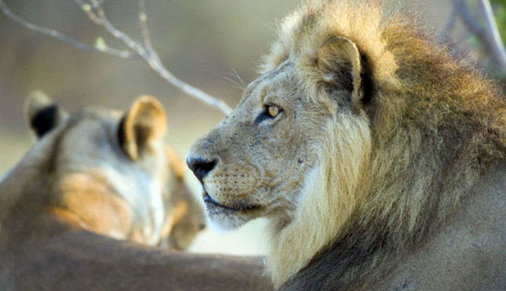 offbeat destination,silvassa,tourism,travel,amazing places to visit in silvassa,holidays