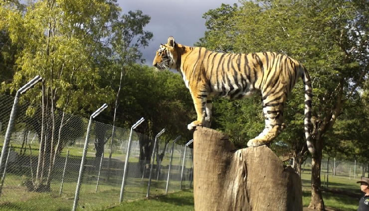 mauritius honeymoon destinations,romantic getaways in mauritius,honeymoon activities in mauritius,adventure honeymoon mauritius,mauritius beach honeymoon,mauritius honeymoon experiences,things to do in mauritius for honeymooners,mauritius honeymoon adventure activities,romantic spots in mauritius for couples,mauritius honeymoon travel guide,luxury honeymoon resorts in mauritius,best activities for honeymooners in mauritius,mauritius honeymoon trip tips,honeymoon ideas for mauritius,mauritius honeymoon attractions