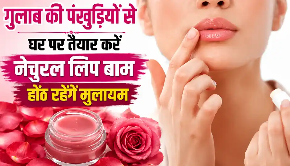 गुलाब की पंखुड़ियों से घर पर तैयार करें नेचुरल लिप बाम, होंठ रहेंगे गुलाबी, मुलायम और लंबे समय तक मॉइस्चराइज्ड